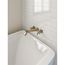 Stryke Wall Mounted Tub Filler (Champagne Bronze)