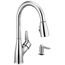Apex Single Handle Pull Down Kitchen Faucet (Chrome)