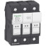 Fuse carrier TeSys DF, 3P 30A, Fuse Class CC