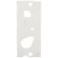 Gasket - Ignition Plug, Flame Rod, Burner Sensor, DLKL012-B