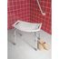Home Care Shower Seat, DN7025 (Glacier)