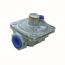Pressure Regulator, Nat Gas, 3/4", R48N42-0306-3.5R