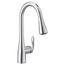 Arbor 1 Handle Pulldown Kitchen Faucet, 1.5 GPM, 7594EVC (Chrome)