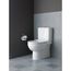 Seat And Cover Durastyle Eco (white) Hinges Stainl. Steelw.soft Closure