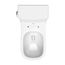 D-Code One-Piece Elongated Toilet (White), 0113010001