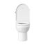 Durastyle Basic One-Piece Elongated Toilet, 1.28 Gpf, Left Hand Lever (White), 21950100U3