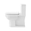 Durastyle Basic One-Piece Elongated Toilet, 1.28 Gpf, Left Hand Lever (White), 21950100U3