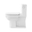 Durastyle Basic One-Piece Elongated Toilet, 1.28 Gpf, Right Hand Lever (White), 21950100U4