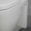 Toilet Wall Mounted 620mm Starck 2 (white) Washdown Model