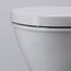 Darling New Wall Mounted Toilet Bowl Dual Flush (white)