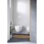 D-neo Wall-mounted Toilet (white) With Hygieneglaze