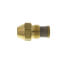 Type B Solid 60° Brass Oil Nozzle (4.00 GPH)