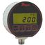DPG Series Digital Pressure Gauge (Vacuum to 0 psi)