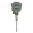 Explosion-Proof RTD Temperature Transmitter w/ LCD (4" Probe)