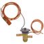Txv Valve, EA36YP021