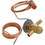 Txv Valve, EA36YP021