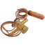 TXV Valve, EA36YP286