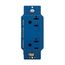 Surgebloc Protection Receptacle, Audible Alarm, Auto-Ground, Stand 6" #12 Awg Leads, 20A, Blue, 1210BL
