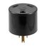 Receptacle Adapter, from Receptacle To Nema 5-15R Or 5-20R Plug, 30A, 125V, Black, 2-Pole 3-Wire, 1264-BOX