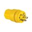 Arrow Hart Watertight Straight Blade Plug, #18-10 Awg 20A, 250V, 2-Pole, 14W48