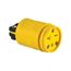 Straight Blade Connector, #14-8 Awg, 20A, Industrial, 250V, Back Wire, Yellow, Black, 1548