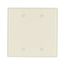 Blank Wallplate, Box Mount, Almond, Blank Cutout, Thermoset, Two- Gang, Mid-Size, Ed Box, 2037A-BOX