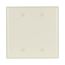 Blank Wallplate, Box Mount, Lt. Almond, Blank Cutout, Thermoset, 2- Gang, Mid-Size, Ed Box, 2037LA-BOX