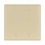 Blank Wallplate, Box Mount, Ivory, Blank Cutout, Thermoset, Two- Gang, Mid-Size, Ed Box, 2037V-BOX