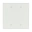 Blank Wallplate, Box Mount, White, Blank Cutout, Thermoset, Two- Gang, Mid-Size, Ed Box, 2037W-BOX