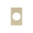 Power Outlet And Locking Wallplate, Ivory, 2.15" Hole Cutout, Thermoset, Single-Gang, Mid-Size, 2068V-BOX