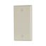 Blank Wallplate, Lt. Almond, Blank Cutout, Thermoset, Single- Gang, Standard, 2129LA