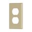 Duplex Receptacle Wallplate, Ivory, Duplex Receptacle Cutout, Thermoset, Single- Gang, Standard, 2132V