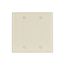 Blank Wallplate, Almond, Blank Cutout, Thermoset, Two- Gang, Standard, Ed Box, 2137A-BOX