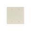 Blank Wallplate, Lt. Almond, Blank Cutout, Thermoset, Two- Gang, Standard, Ed Box, 2137LA-BOX