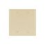 Blank Wallplate, Ivory, Blank Cutout, Thermoset, Two- Gang, Standard, Ed Box, 2137V-BOX