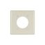 Power Outlet And Locking Wallplate, Lt. Almond, 2.15" Hole Cutout, Thermoset, 2-Gang, 2168LA-BOX