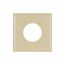 Power Outlet And Locking Wallplate, Ivory, 2.15" Hole Cutout, Thermoset, 2-Gang, 2168V-BOX