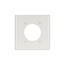Power Outlet And Locking Wallplate, White, 2.15" Hole Cutout, Thermoset, 2-Gang, 2168W-BOX