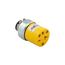 Straight Blade Connector, #18-10 Awg 20A, 250V, Armored Vinyl, Pvc, 6-20R, 2-Pole 3-Wire, Vinyl, 2229-BOX