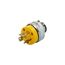 Arrow Hart Standard Locking Plug, Stand-Alone Box Packaging, 15A, Commercial, 125V, Yellow, 2473-BOX