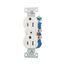 Residential Duplex Receptacle, #14-10 Awg 15A 125V, SideAnd Push, Auto Grounding, 270-9W