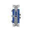 Commercial Combo Switch, Stand, #14-#12 Awg 15A, 120/277V, Ivy, (2) 1-Pole, Duplex, 271V-BOX