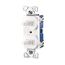 Commercial Combo Switch, Stand, #14-#12 Awg 15A, 120/277V, Wht, (2) 1-Pole, Duplex, 271W-BOX