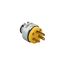 Straight Blade Plug, #18-12 Awg 20A, 125V, Armored Vinyl, 5-20P, 2-Pole 3-Wire, 0.25-0.63", 2809-BOX