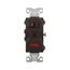 Commercial Combo Switch, Neon Pilot Light, #14-#12 Awg 15A, 120V (Switch), 125V (Pil Lgt), Brown, 294B-BOX