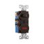 Commercial Combo Switch, Neon Pilot Light, #14-#12 Awg 15A, 120V (Switch), 125V (Pil Lgt), Brown, 294B-BOX