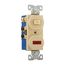 Commercial Combo Switch, Neon Pilot Light, Stand, #14-#12 Awg 15A, Ivy, 294V-BOX