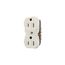 Residential Duplex Receptacle, #14 Awg 15A 125V, 2-Pole 3-Wire, Duplex, 8 Quick Wire Ports, 298-4BK-BU