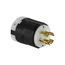 Locking Plug, #16-12 Awg, 30A, 120/208V, Safety Grip, 4-Pole, 4-Wire, 0.63 To 1.16 In, 3431N-M