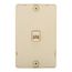 Wallplate w/ Connector, Residential Telephone, Surface, Box, Ivory, Data/Voice Modular Jack, 3521-4V
